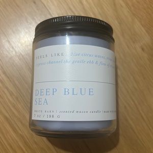 BBW 7 Oz Candle - Deep Blue Sea
